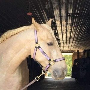 Meet your Posher, Iva